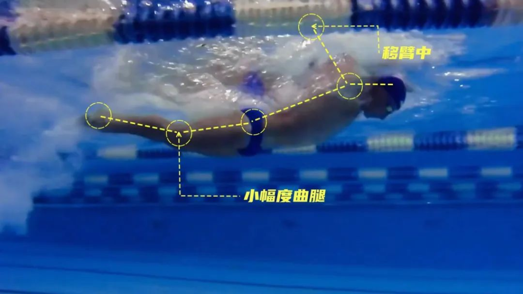 学会两次打腿节奏，蝶泳就可以起飞了 —— 深度解读1重1轻的打腿方式