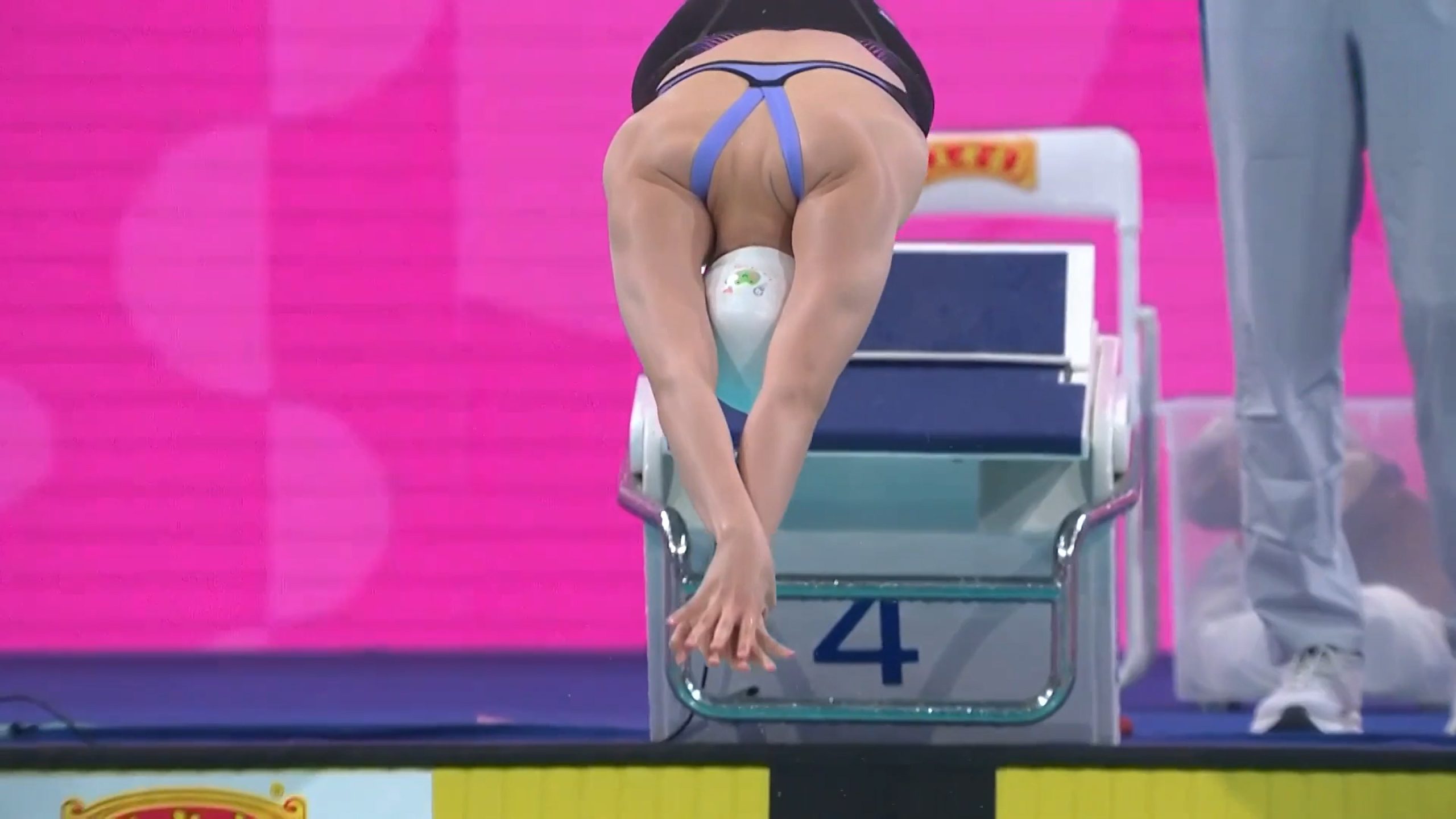 第十五届全运会游泳第三日 ——群雄逐鹿新局现，后程为王终可见！