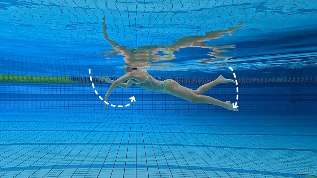 秒懂自由泳速度力量的引导训练!—— 肢体协调与技术激活!