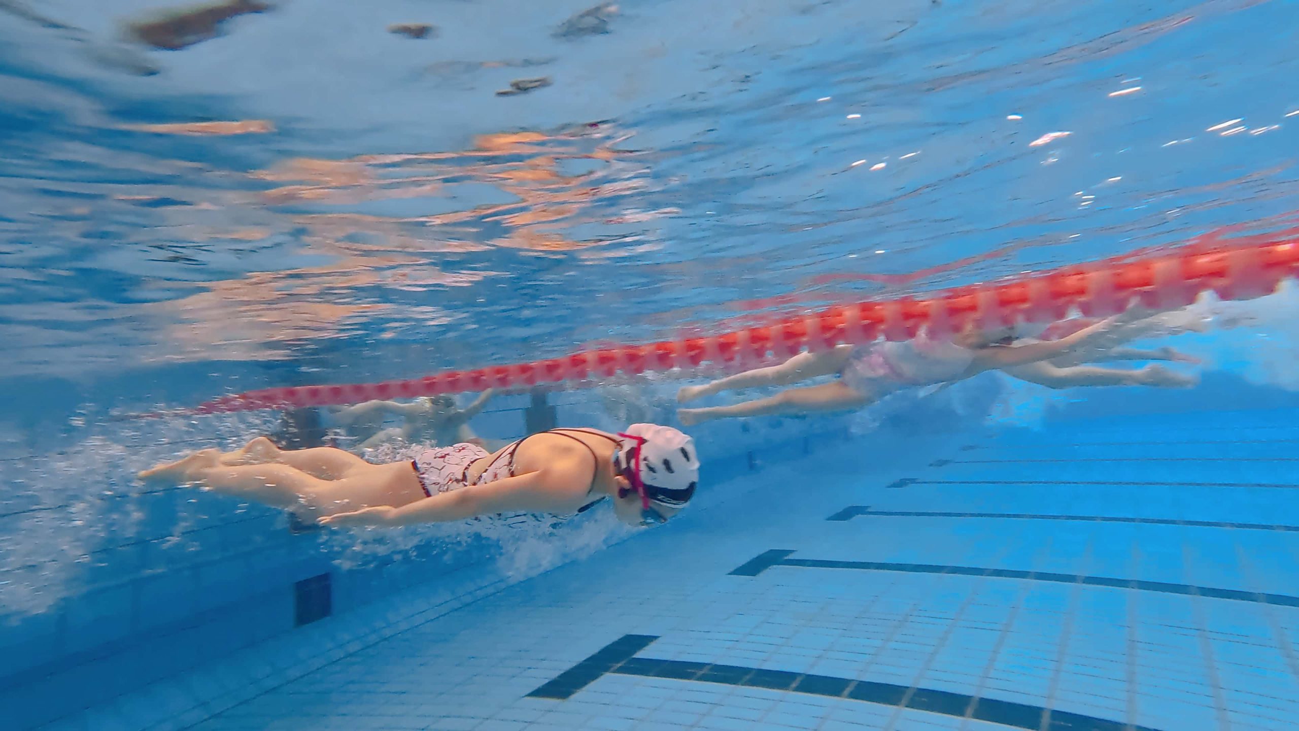 在未来的训练工作中,我们还想多出一些大料! —— 近距离感受大连游泳人的育才设想!