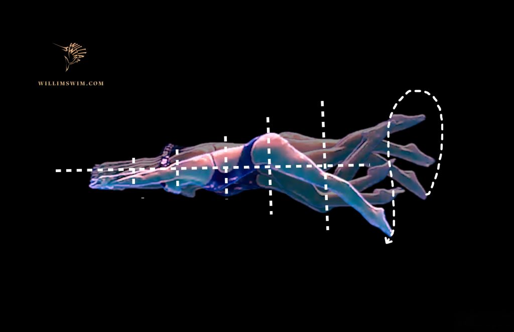 游得快的,打腿都好! —— 兼容配合技术的8×50米打腿强化训练,快速补齐能力短板!