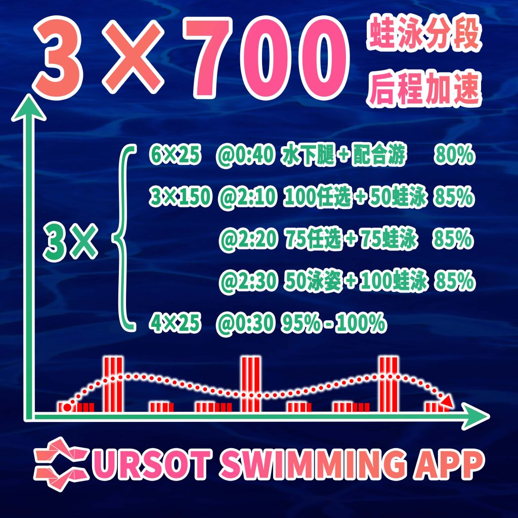 职业游泳教练专辑(17)——100蛙泳基础技术+加速训练